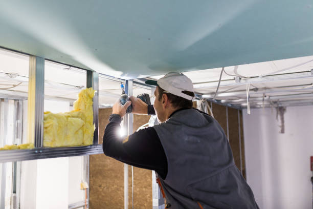 Best Wall Insulation Installation  in Union Park, FL