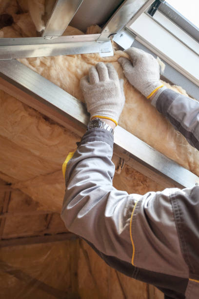 Reliable Union Park, FL Insulation Solutions